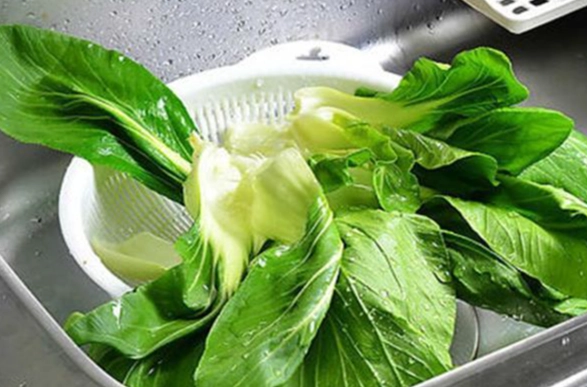 衛福部洗菜指南