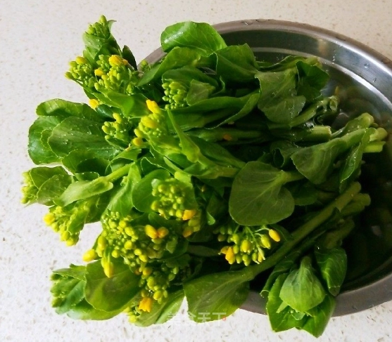 小松菜 油菜 區別