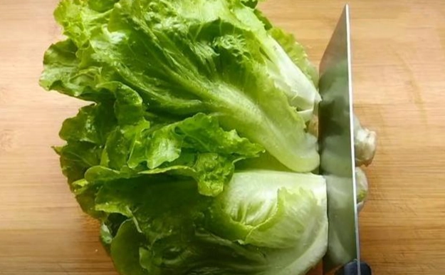 吃生菜健康風險