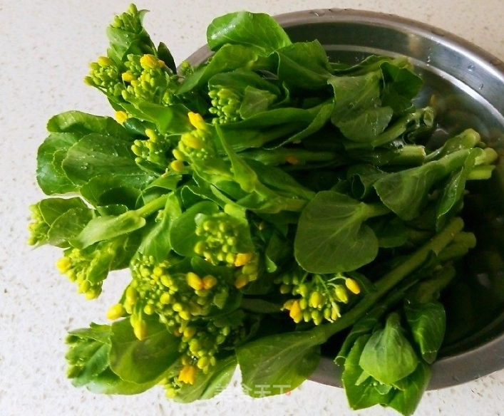 油菜小松菜區分