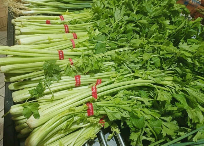 芹菜叶保存