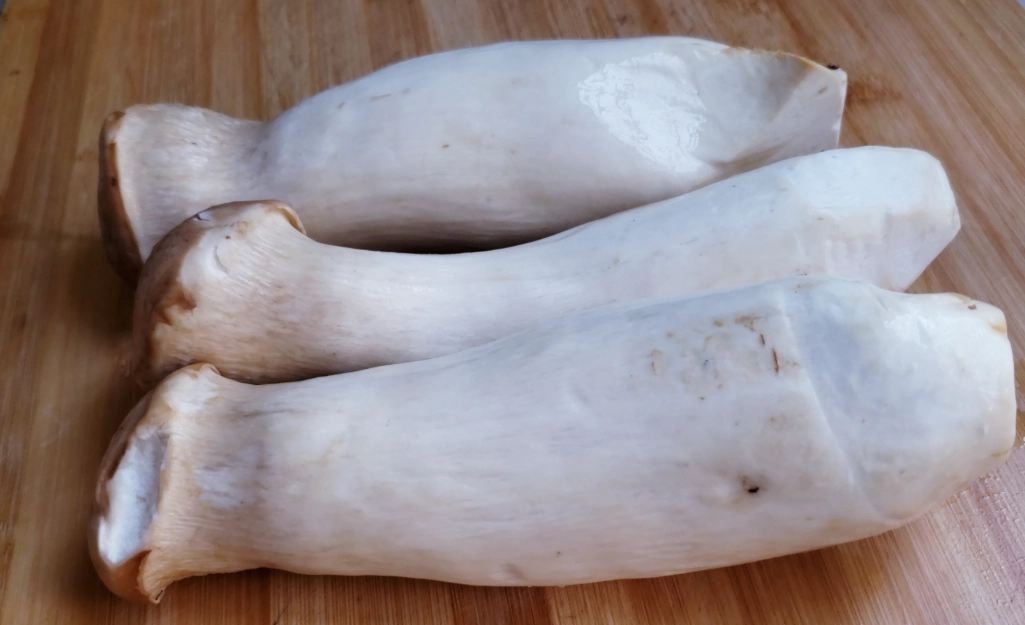 如何清洗杏鮑菇