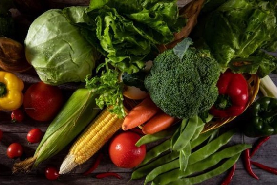 蛋白質過敏飲食指南