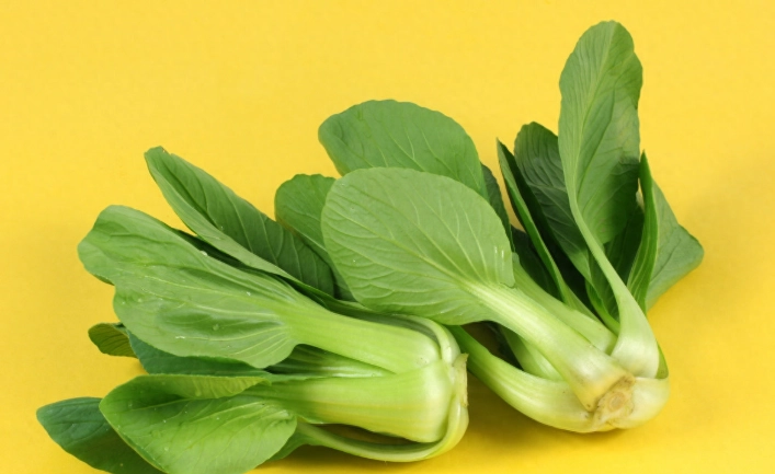 小松菜油菜不同