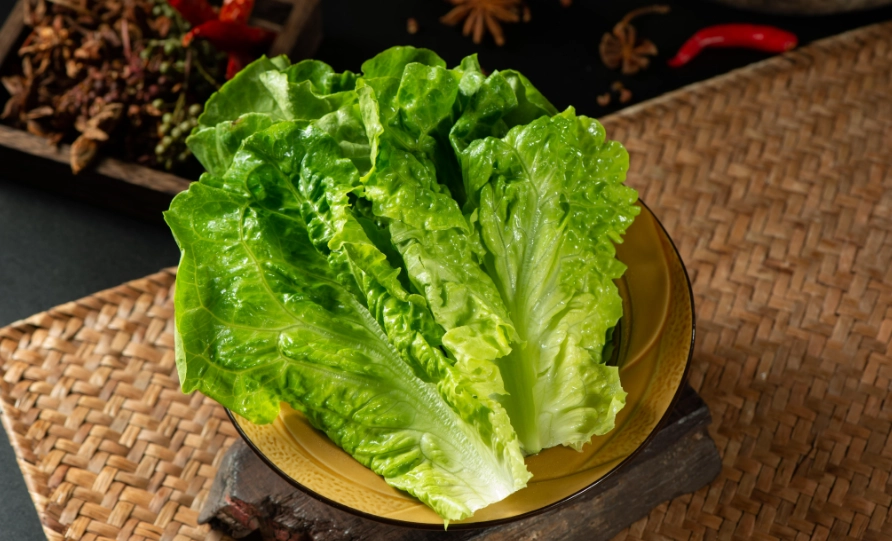 吃生菜健康風險