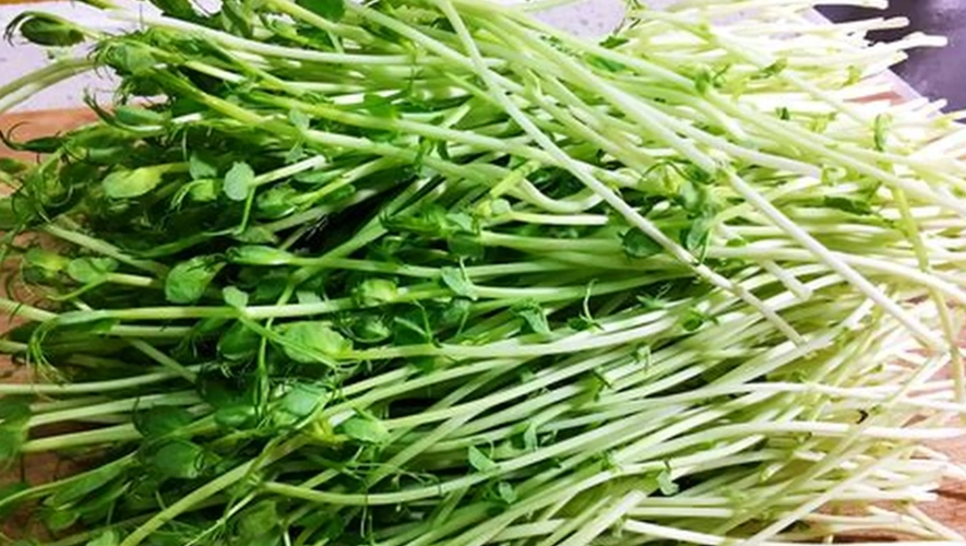 豌豆苗生食安全