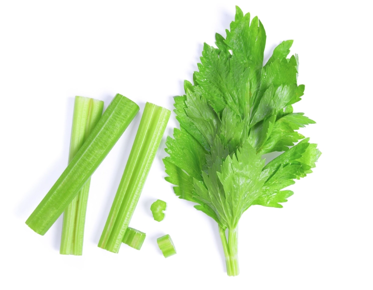 西芹不能和什么一起吃