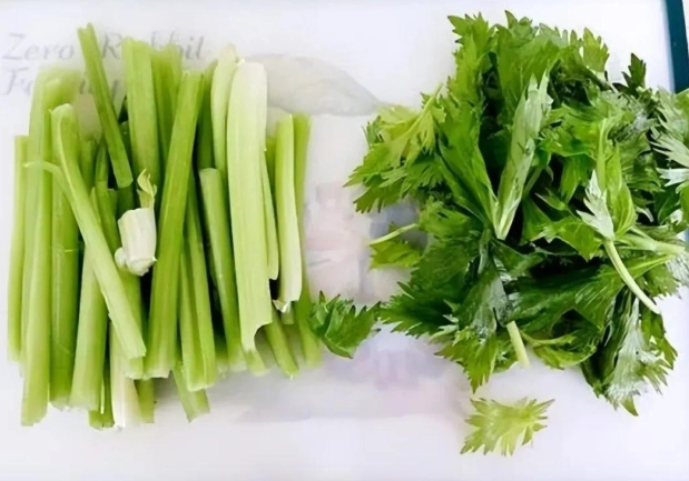 西洋芹葉子食用