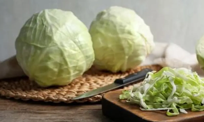 高麗菜纖維食譜