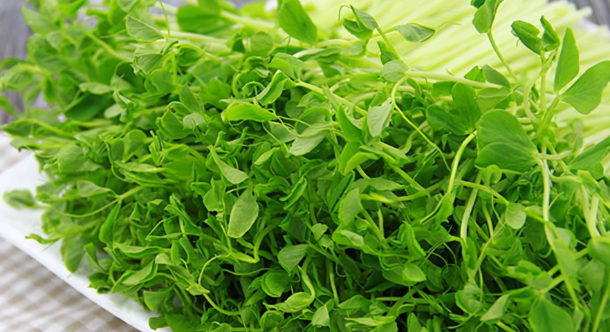 有機蔬菜生吃指南