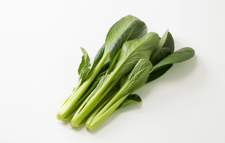 小松菜安全食用