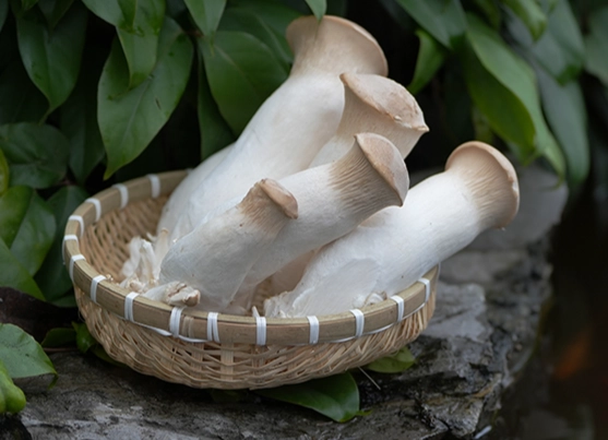 杏鮑菇保存秘訣