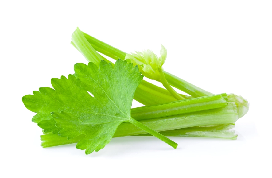 西芹不能和什么一起吃