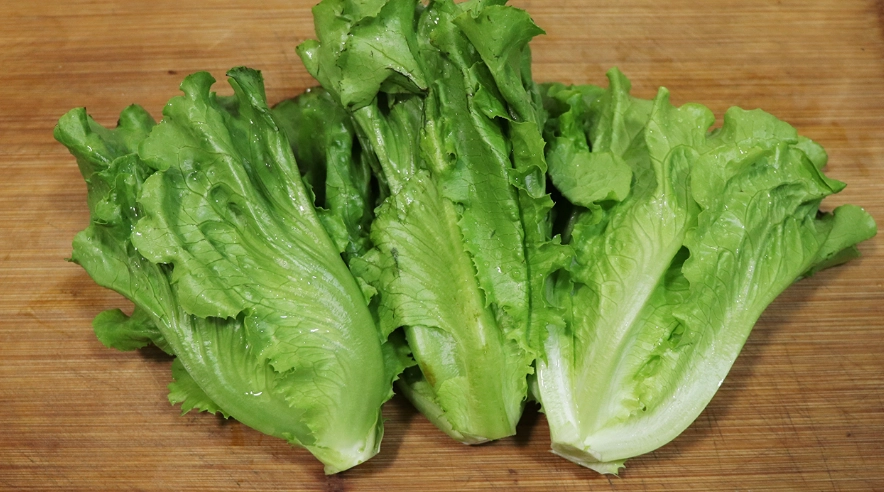 西生菜營養價值