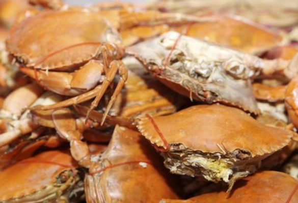 螃蟹饮食禁忌