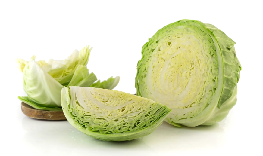 生吃高麗菜風險