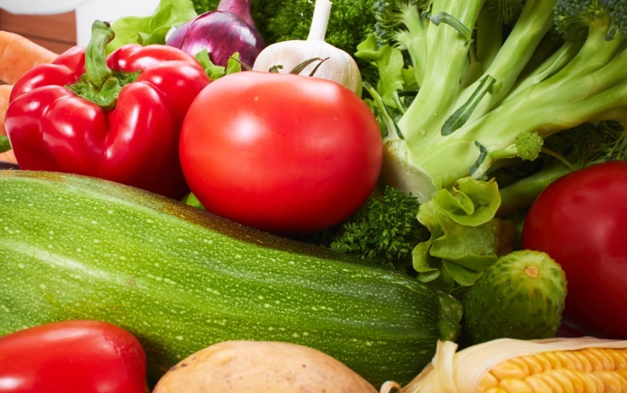 蔬菜食用部位分類