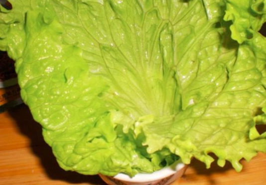 生菜寄生虫感染