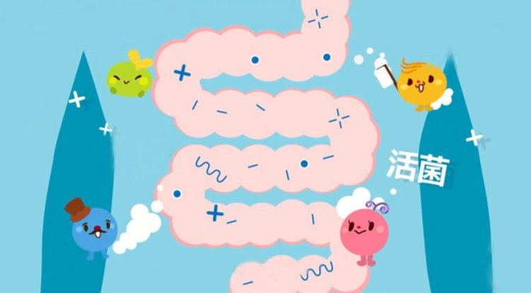 便秘益生菌品牌 便秘益生菌品牌