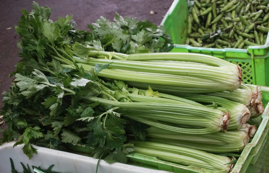 芹菜葉冷凍方法