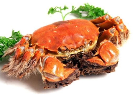 螃蟹不能和什么一起吃