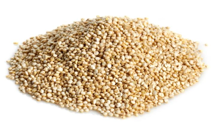 植物蛋白質來源