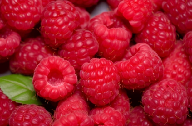 高纖水果排行榜