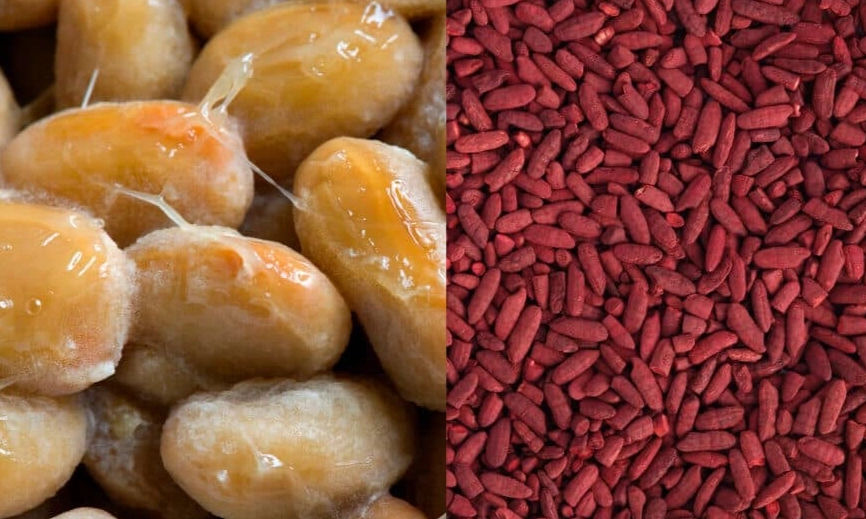 紅麴納豆最佳食用時機