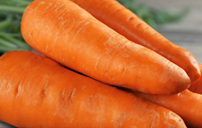 紅蘿蔔大便顏色