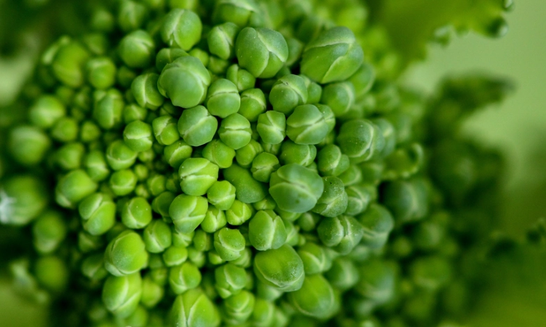 青花菜保存方法