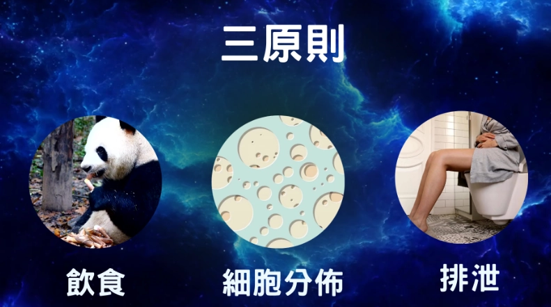 鉀離子過高原因