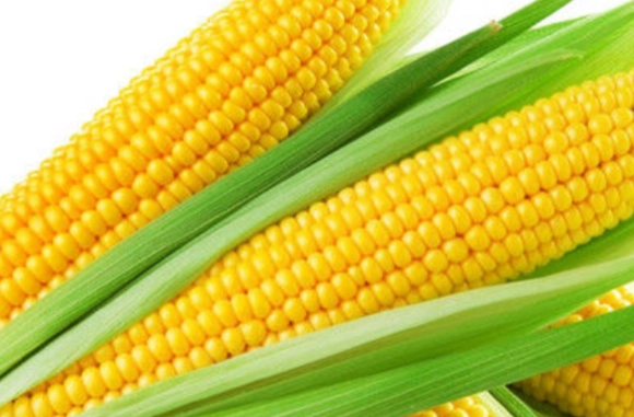 高纖維食物清單