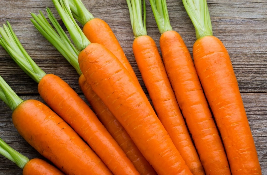 植物蛋白質來源