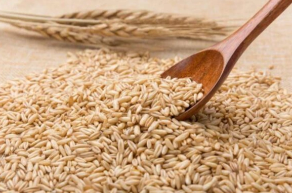 膳食纖維食物有哪些