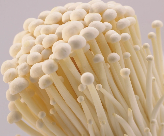 金針菇冷藏方法