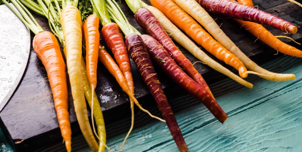 紅蘿蔔大便顏色