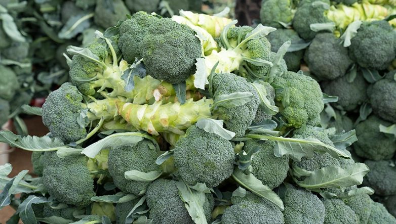 變黃青花菜處理