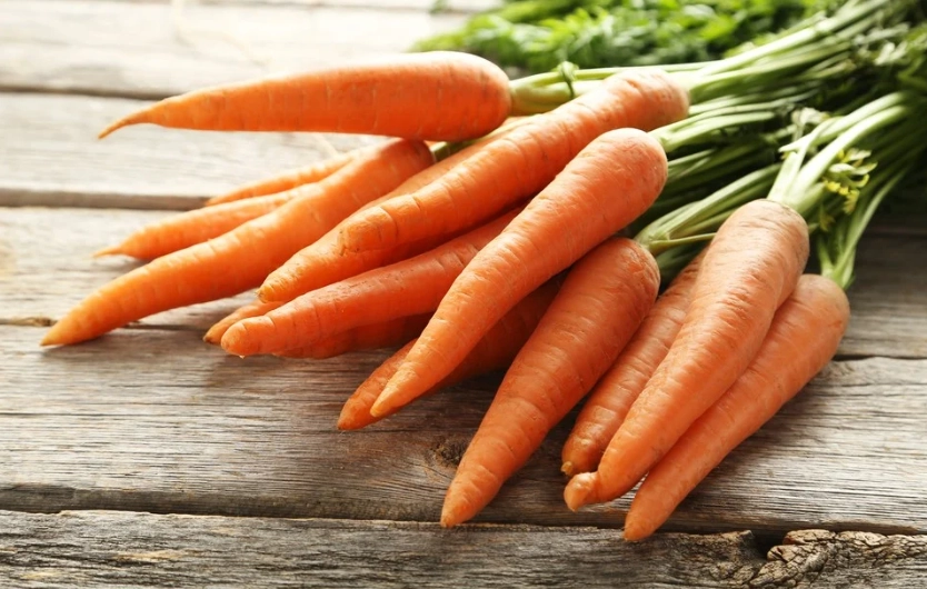 植物蛋白質來源