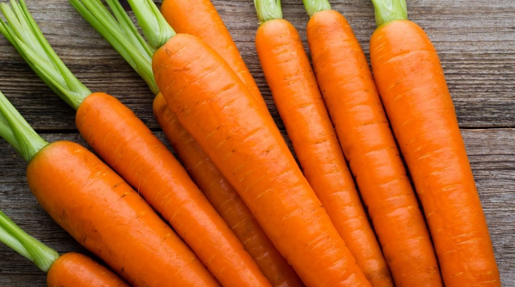 紅蘿蔔大便顏色