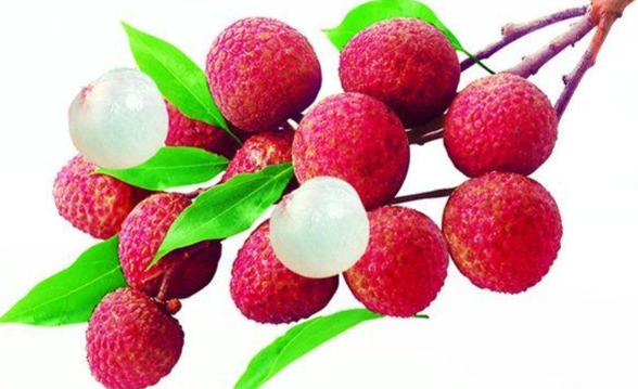 肝硬化水果選擇