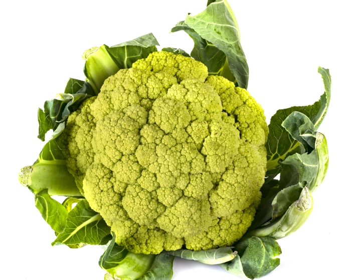 花椰菜保存方法