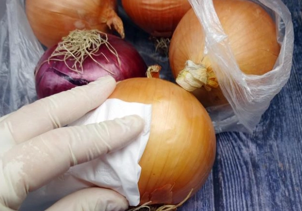洋蔥儲存方法
