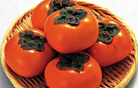 柿子藥物交互作用