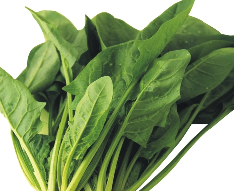 菠菜減肥食譜