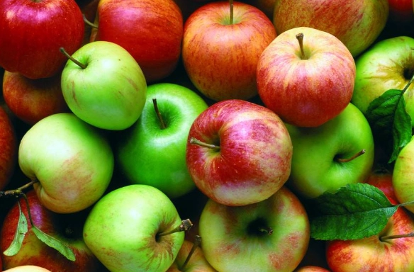 蘋果種類差異