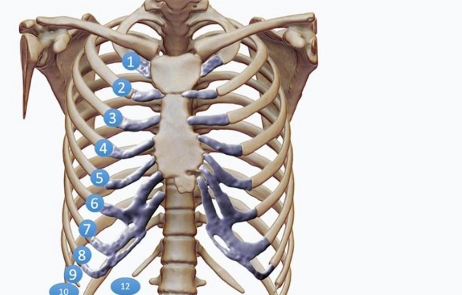 骨折後不能吃的食物