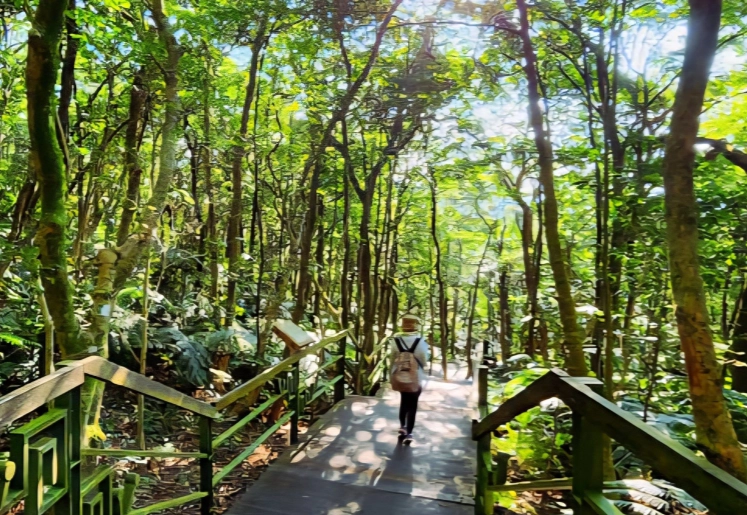 台北到溪頭交通