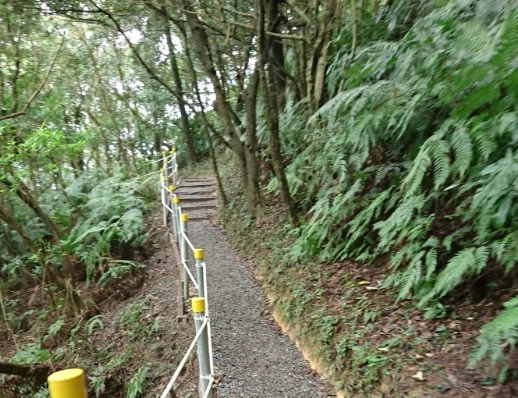 翠山步道健行