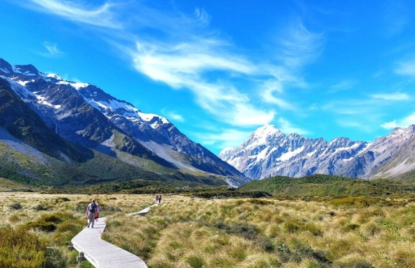 紐西蘭無車旅遊