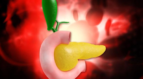 胰臟炎飲食指南